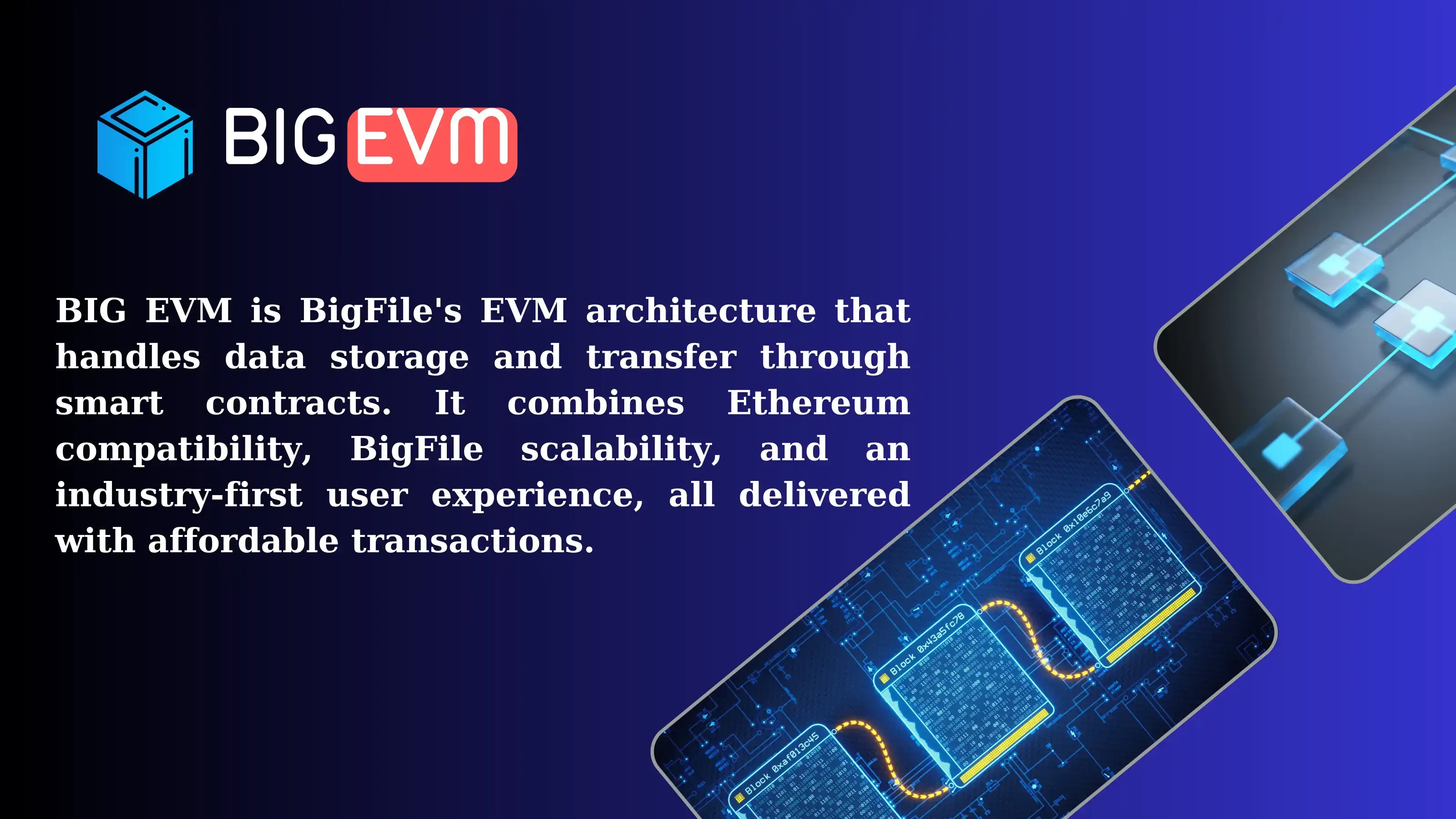 BigFile EVM screenshot